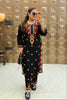 ‘NAZRANA 2.0’ chikankari Two Piece Set